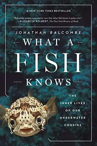 What A Fish Knows The Inner Lives Of Our Underwater Cousins